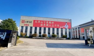 国内知名的九华黄精生产厂家口碑测评 轻断食人群选购参考
