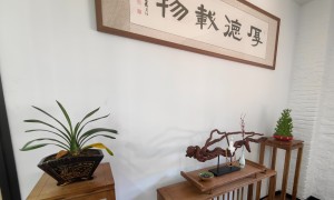 口碑好的婚姻财产分割律师事务所专业实力与用户口碑深度解析：西美斯律所