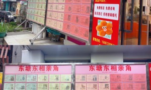 大爱合家亲婚介口碑怎么样