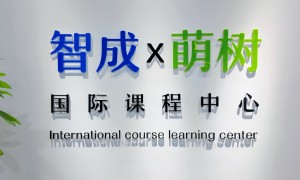 杭州雅思秋季班机构哪家好？智成留学合规服务商筛选指南
