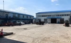 OSB定向结构桦芯板服务商哪个靠谱，正规源头厂家选购参考汇总