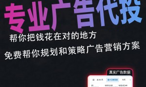 2026年Google投放代运营服务商靠谱甄选参考