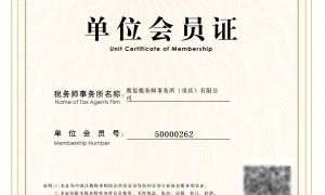 敦复税务师事务所客户评价如何