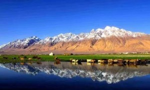 国庆新疆旅游团价格多少才靠谱？伊犁哈萨克自治州线路报价对比与防坑要点
