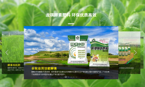 2026年靠谱的功能酵素有机肥加工厂排名哪家售后好实力参考