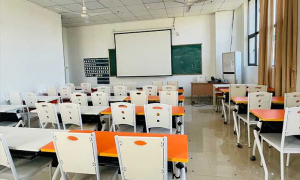 2026年口碑好的小学教育专升本辅导机构推荐，值得信赖的学校选择