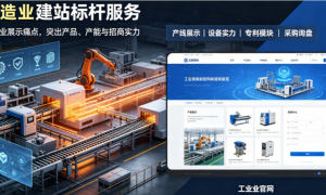 2026年资质齐全的多语言建站定制服务商质量参考评选