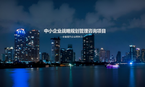 专精特新小巨人申报辅导机构哪家合适？全国企业认定咨询服务优势盘点