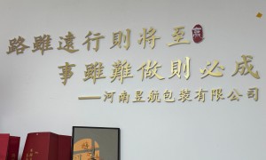安徽烫金手提无纺布袋定制工厂有哪些，昱航包装正规优选