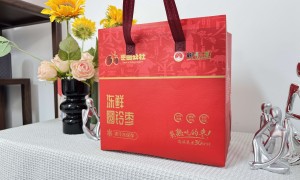 2026年评价高的烫金工艺手提袋源头厂家用户力荐，不踩坑选择