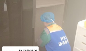 好兄弟消杀｜沈阳环境消毒服务商，正规可靠经验丰富