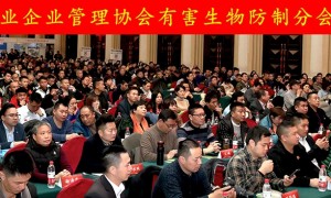 好兄弟消杀服务怎么样 创新技术实力突出