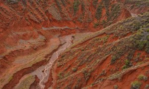 2026年阿勒泰地区实力强的新疆全境旅游定制旅游机构口碑公司汇总