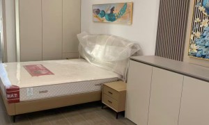 松江全屋定制做东方风格的有哪家，注重仪式感的服务商实力参考