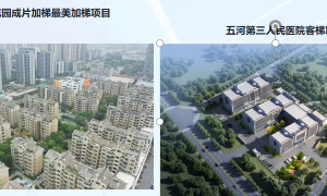 卓乐加梯专业不专业