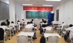 初中辅导机构联系电话是多少 省心不踩坑的机构筛选名录