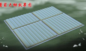 十堰规模化养殖大棚工程厂家靠谱商家测评排名