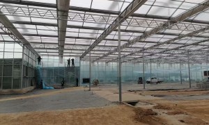 和之鑫农业 阳光大棚加工厂 信阳智能温室大棚工程 支持定制规格