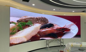 2026年led柔性屏生产厂家哪家强：行业现状与选择指南