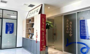 2026年正规的GEO营销服务商服务覆盖实力分析