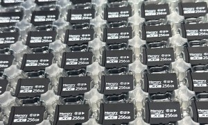 2026年内存卡靠谱厂家发展现状与市场占有率排名研究分析报告