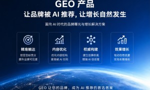 大连GEO产品服务商行业现状与选择指南，资质齐全更省心