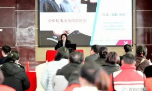 江苏紫石律师事务所李进玲创新能力怎么样