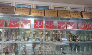永州室内训练武术学校怎么选？正规机构综合实力推荐