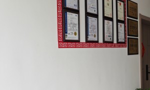 上海成立十年以上的箱式超静音无油空压机生产厂家行业现状与选择指南