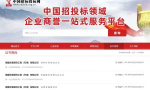 瑞星家装规模怎么样