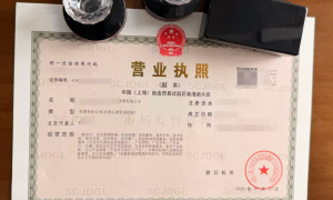 2026年资质齐全的中介行业注册公司服务商实力与用户口碑