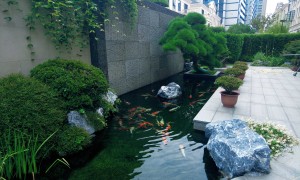 2026年江南古风园林设计实景案例甄选：阳台小型园林一站式打造公司实力参考
