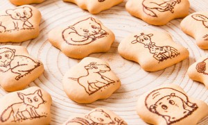 2026年评价高的棉花糖食品打印机定制厂家有哪些