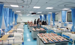 宁波心血管系统医用教学模型正规源头企业有哪些？弘德医教排名前五