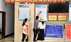 2026年广受信赖的考驾照机构综合实力推荐