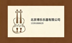 北京广受信赖的乐器维修品牌公司有哪些