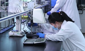 2026年靠谱的无添加燕麦代工厂综合实力推荐