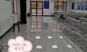 2026年哈尔滨正规的机动车驾培学校，规模与实力参考