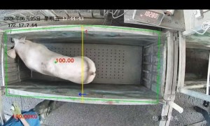 喜为智慧智慧平台规模怎么样