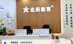2026年小升初培优服务商实力测评，广受信赖的机构推荐