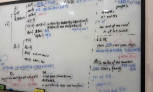 2026年广受信赖的教育培训机构服务质量评选