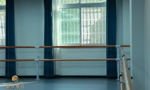2026年靠谱的少儿舞蹈培训学校怎么选？省心机构推荐