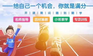 猇亭区成立五年以上的宜昌初三体育晚班哪家好推荐，专业实力与用户口碑深度解析