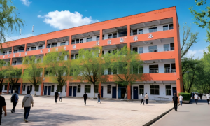平顶山体育专升本学校用户力荐