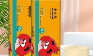 玉溪市袋挂式下拉抽纸生产厂家，选对工厂，采购省心一半