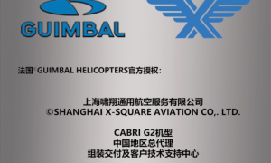 啸翔航空规模怎么样