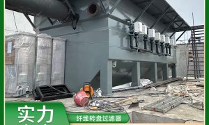 2026年纤维转盘过滤器个性化定制市场占有率与生产厂家排名研究分析报告