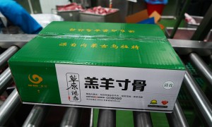 青岛内蒙古羊肉厂家批发，正规源头的绵羊肉生产商选择指南