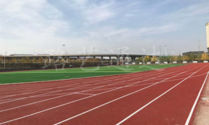 2026年塑胶跑道施工厂哪家合作案例多实力参考