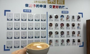 温州个性化背景提升留学公司推荐，口碑好